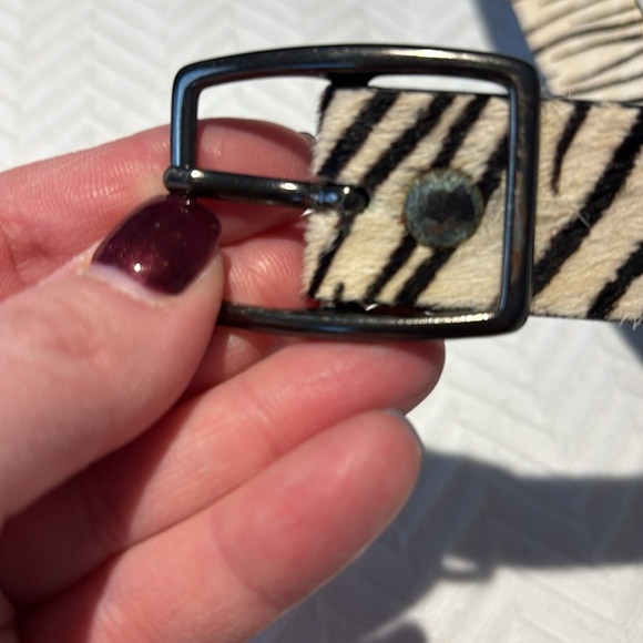 Zebra belt - Picture 4 of 4